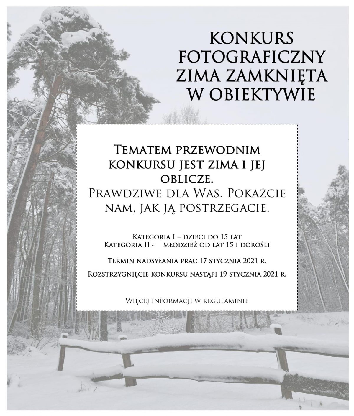 plakat przedstawiający zdjęcie lasu w scenerii zimowej