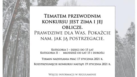 plakat przedstawiający zdjęcie lasu w scenerii zimowej